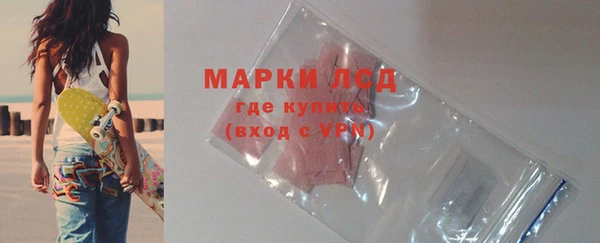 ГАЛЛЮЦИНОГЕННЫЕ ГРИБЫ Магас