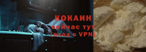 ГАЛЛЮЦИНОГЕННЫЕ ГРИБЫ Магас