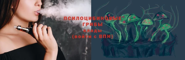ГАЛЛЮЦИНОГЕННЫЕ ГРИБЫ Магас
