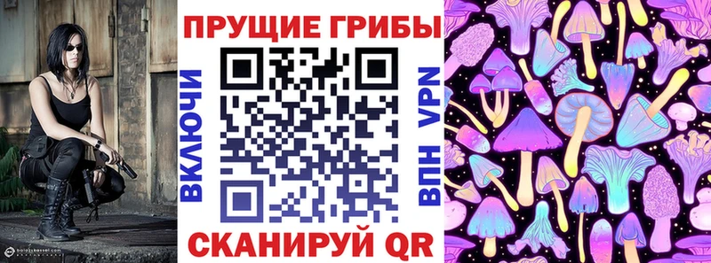 Псилоцибиновые грибы мицелий  MEGA зеркало  Шимановск  дарнет шоп 